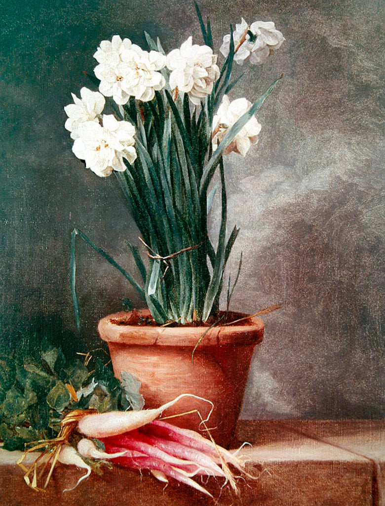 Detail of Narcissus and Radishes by Henri Roland de la Porte