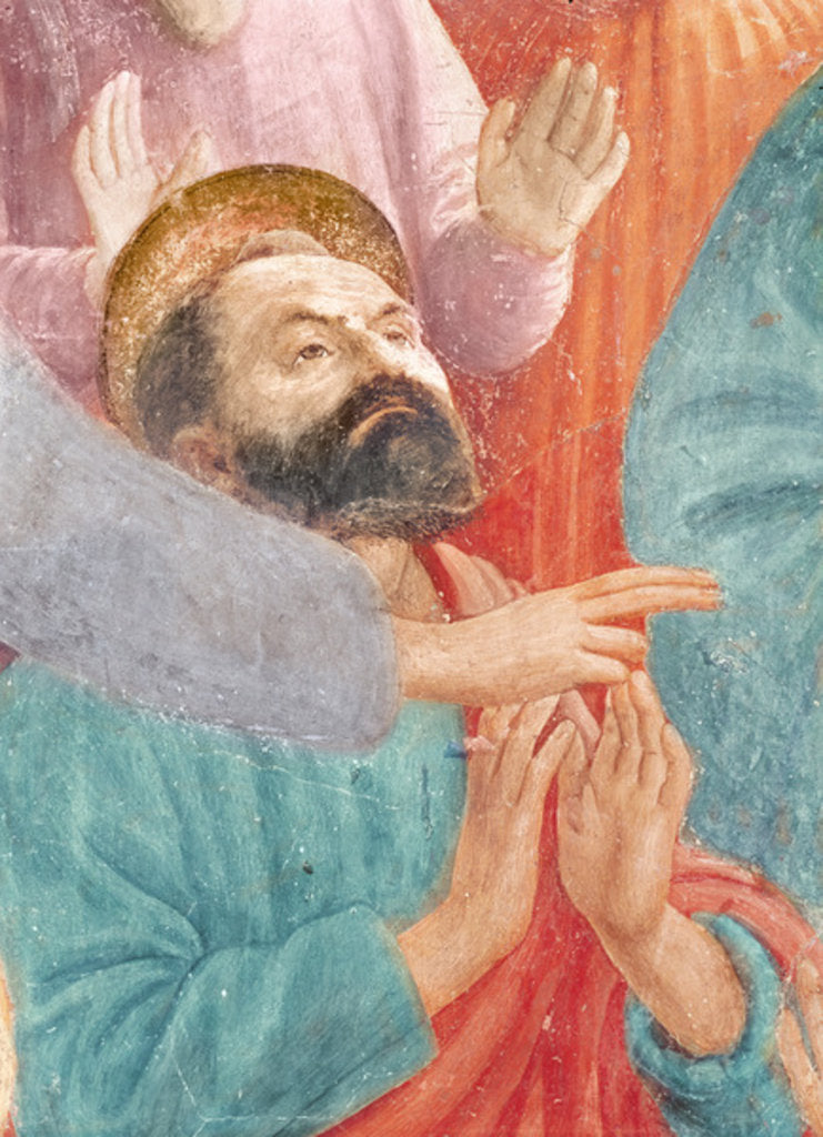Detail of The head of St. Paul by T. & Lippi F. Masaccio