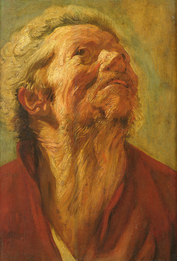 Detail of Study of a Head, or Head of an Apostle, c.1620 by Jacob Jordaens
