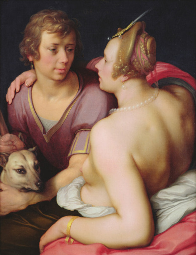 Detail of Venus and Adonis, 1610 by Cornelis Cornelisz. van Haarlem