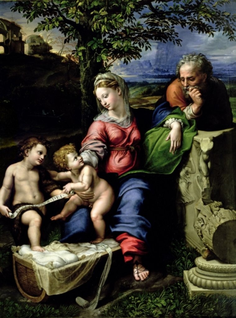 Detail of The Holy Family of the Oak Tree, c.1518 by Raphael