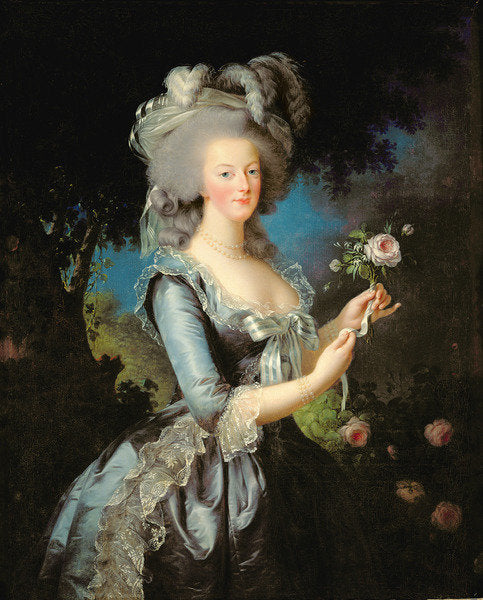 Detail of Marie Antoinette with a Rose, 1783 by Elisabeth Louise Vigee-Lebrun