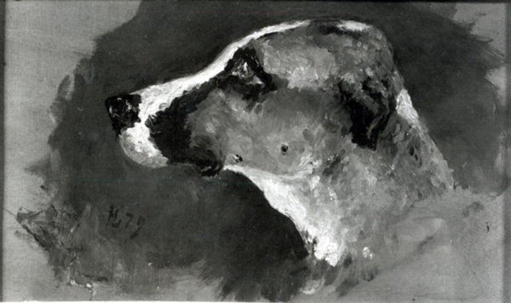 Detail of Head of a Dog with Short Ears, 1879 by Henri de Toulouse-Lautrec