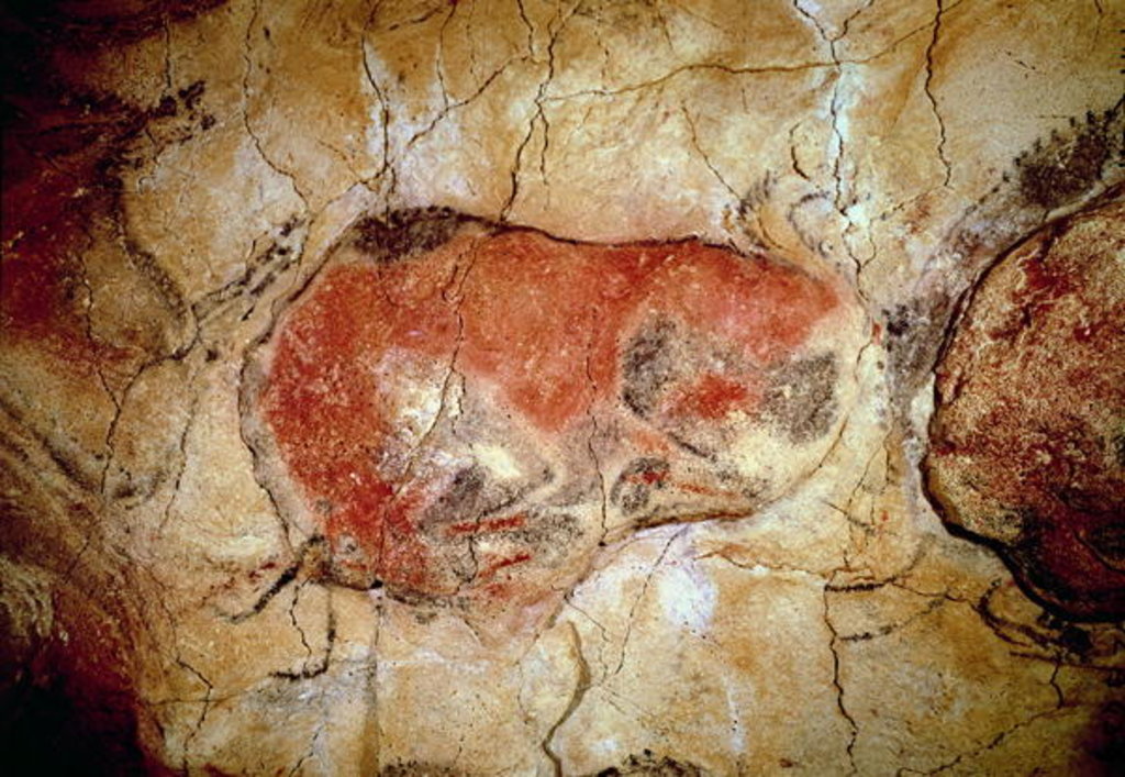 Detail of Bison from the Altamira Caves, Upper Paleolithic, c.15000-8000 BC by Prehistoric Prehistoric