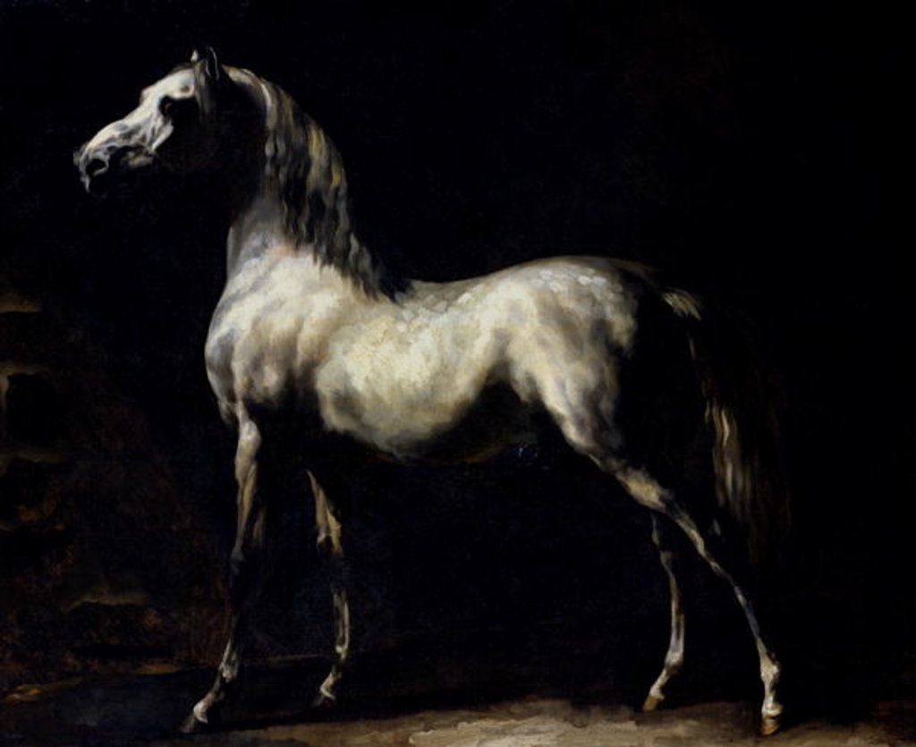 Detail of Study of a Dapple Grey by Theodore Gericault