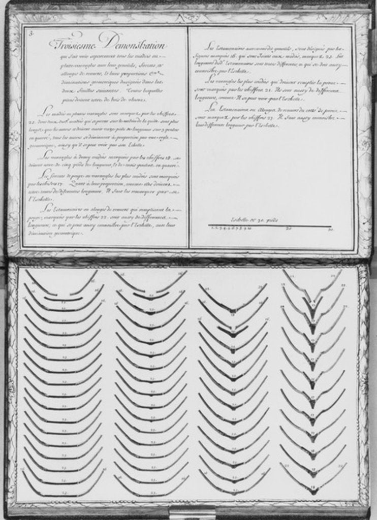 Detail of onstruction of a galley, pieces of wood, third demonstratio by French School