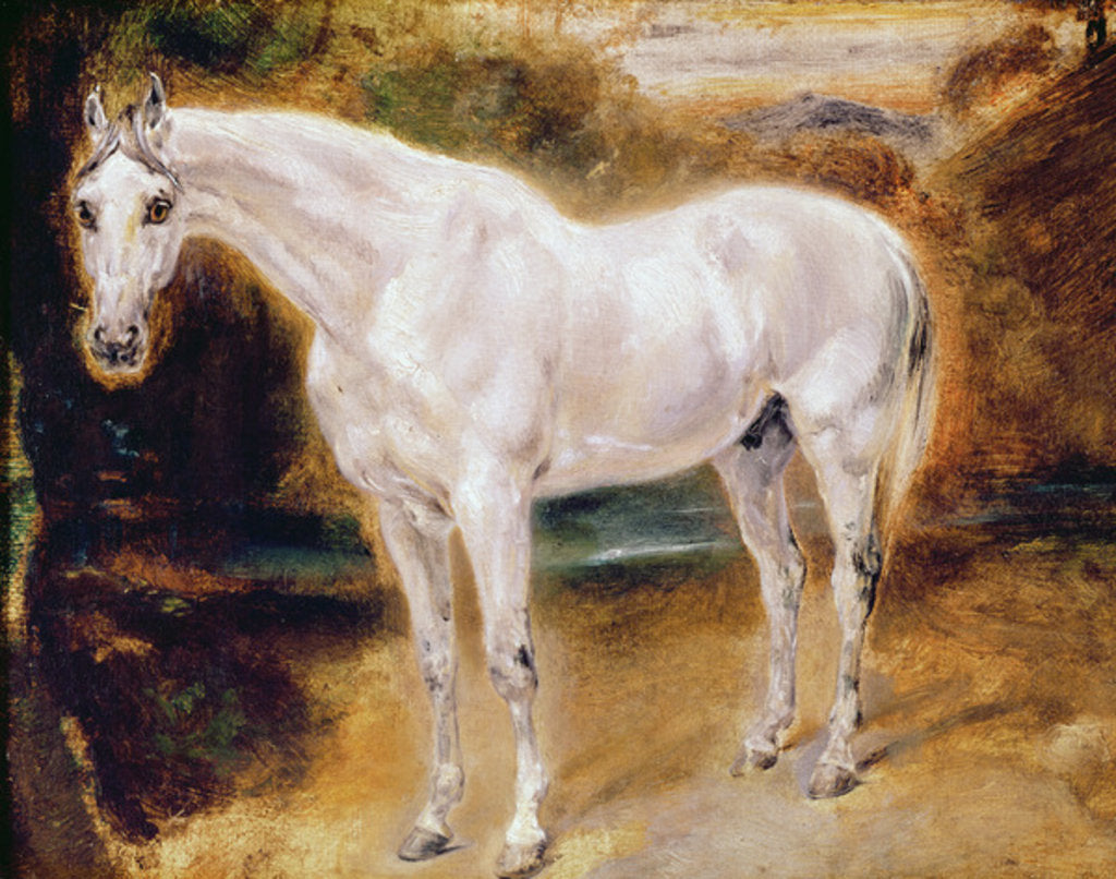Detail of White Horse by Ferdinand Victor Eugene Delacroix