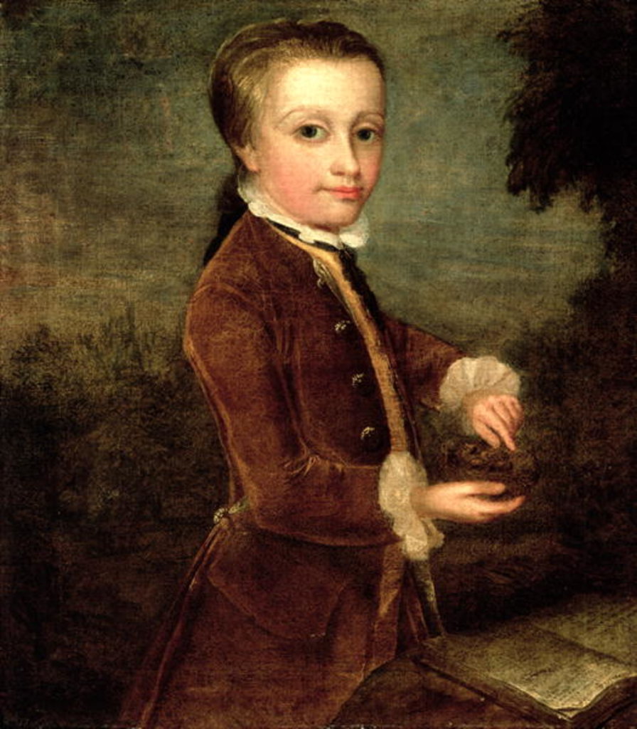 Detail of Portrait of Wolfgang Amadeus Mozart aged eight, holding a bird's nest, 1764-65 by Johann Zoffany