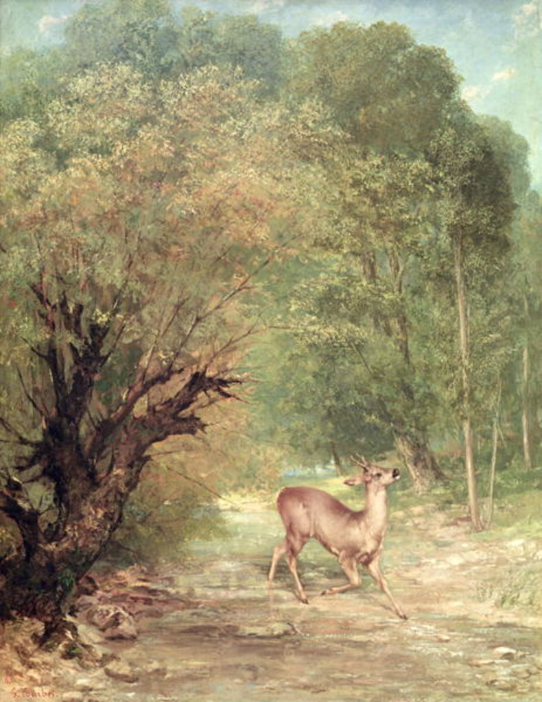 Detail of The Hunted Roe-Deer on the alert, Spring, 1867 by Gustave Courbet
