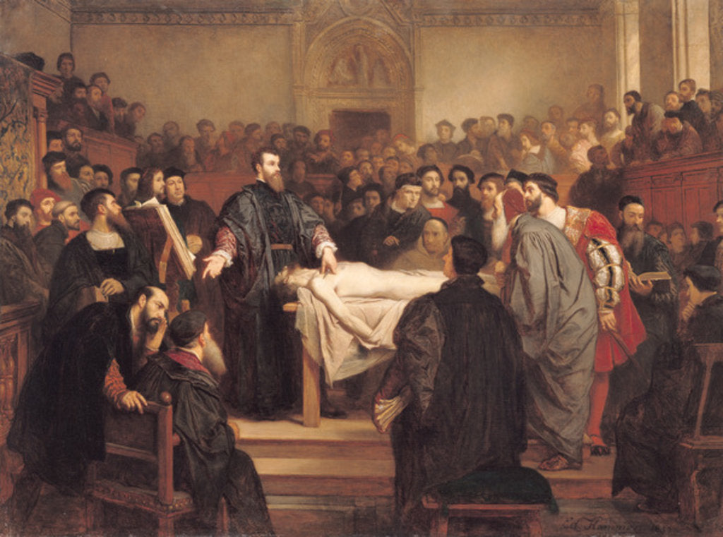 Detail of Andreas Vesalius at Padua, 18th century by Edouard Jean Conrad Hamman