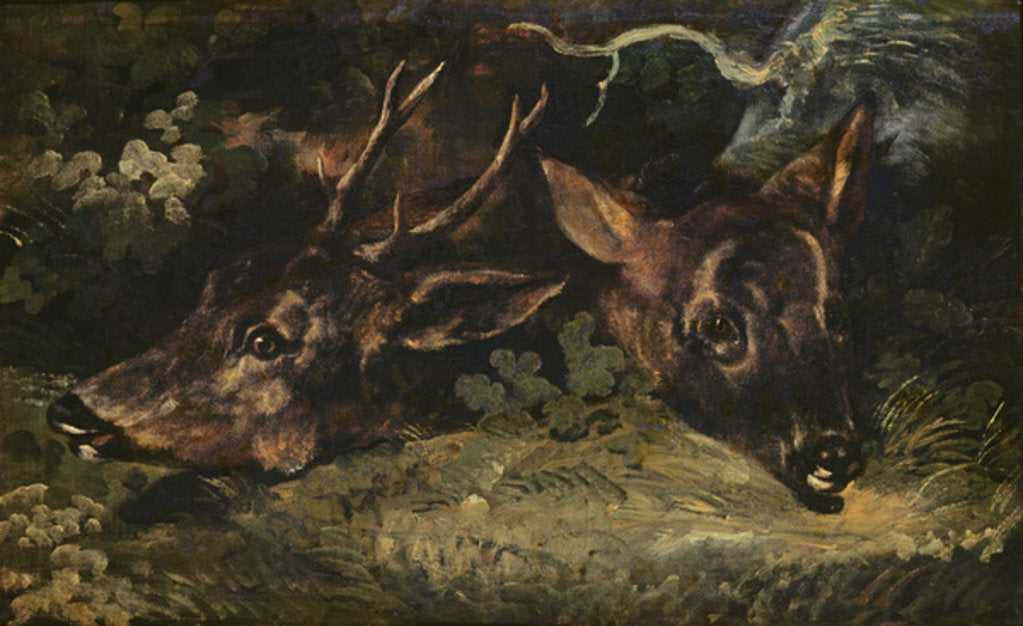 Detail of Heads of Roe Deer, 1815 by Theodore Gericault