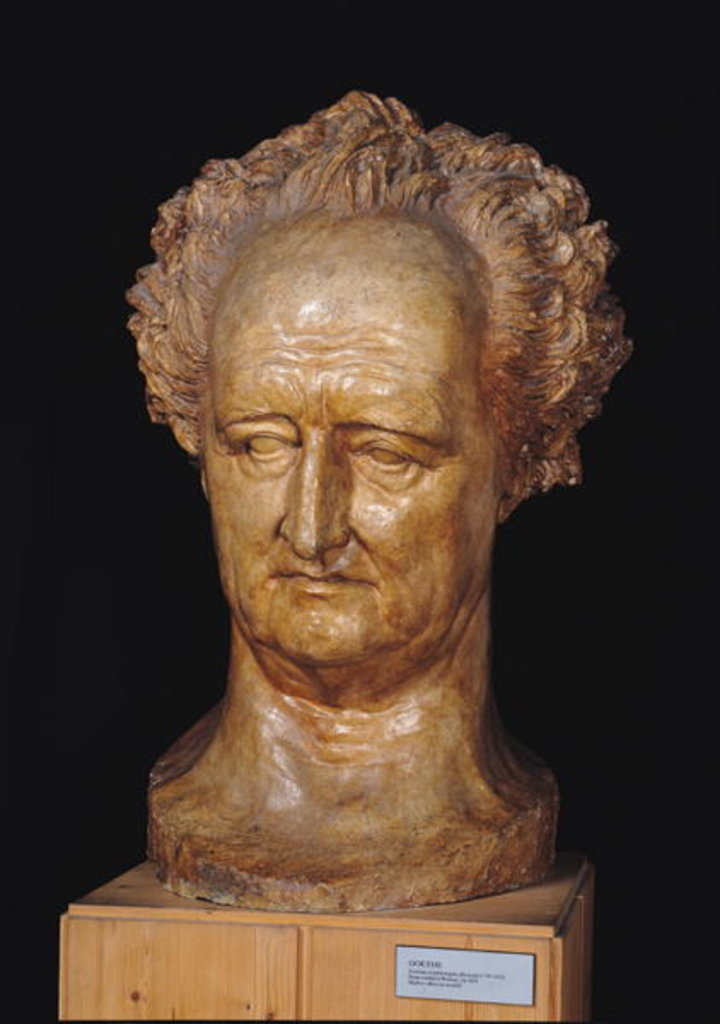 Detail of Bust of Johann Wolfgang von Goethe, 1831 by Pierre Jean David d'Angers