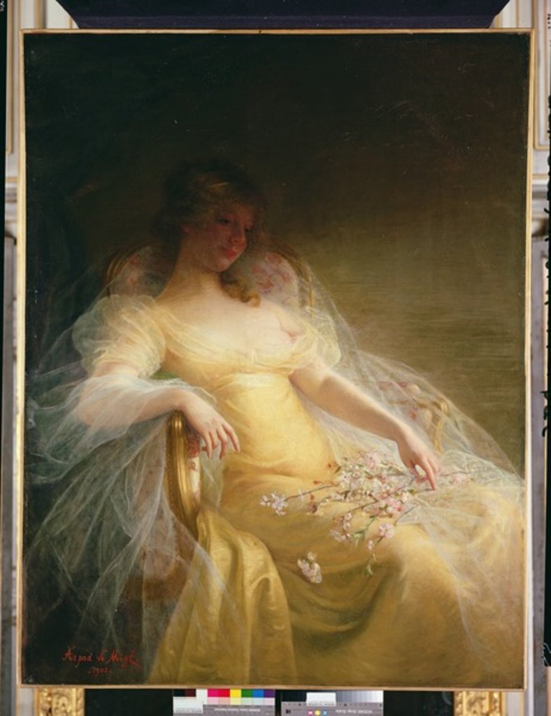 Detail of Portrait of a Woman by Arpad Migl