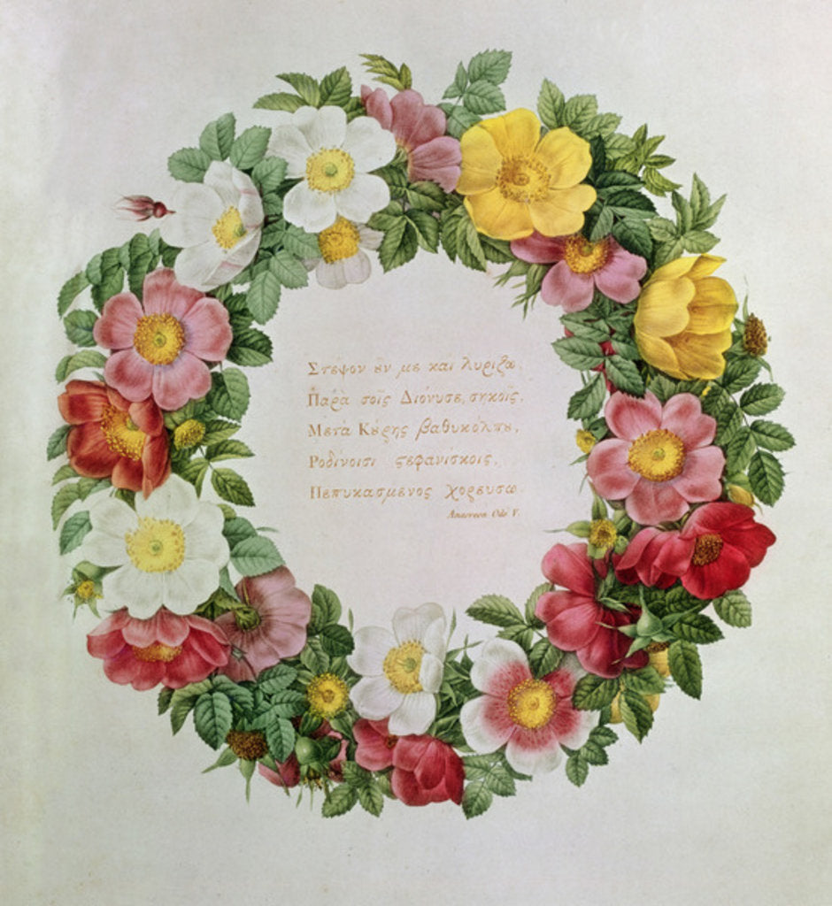 Detail of Claude-Antoine Thory 'Les roses', Frontispiece: Garland with an Epigraph of Ode V by the Greek Poet Anacreon, 1817 by Eustache Hyacinthe Langlois