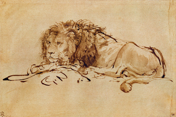 Detail of Lion Resting by Rembrandt Harmensz. van Rijn