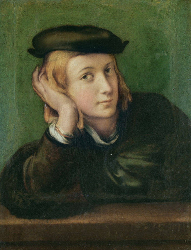 Detail of Portrait of a Young Man, c.1528-30 by Parmigianino (1503-40)