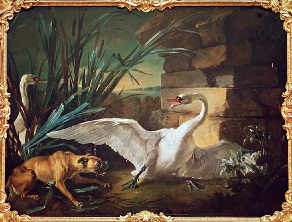 Detail of Dog and Swans by Jean-Baptiste Oudry
