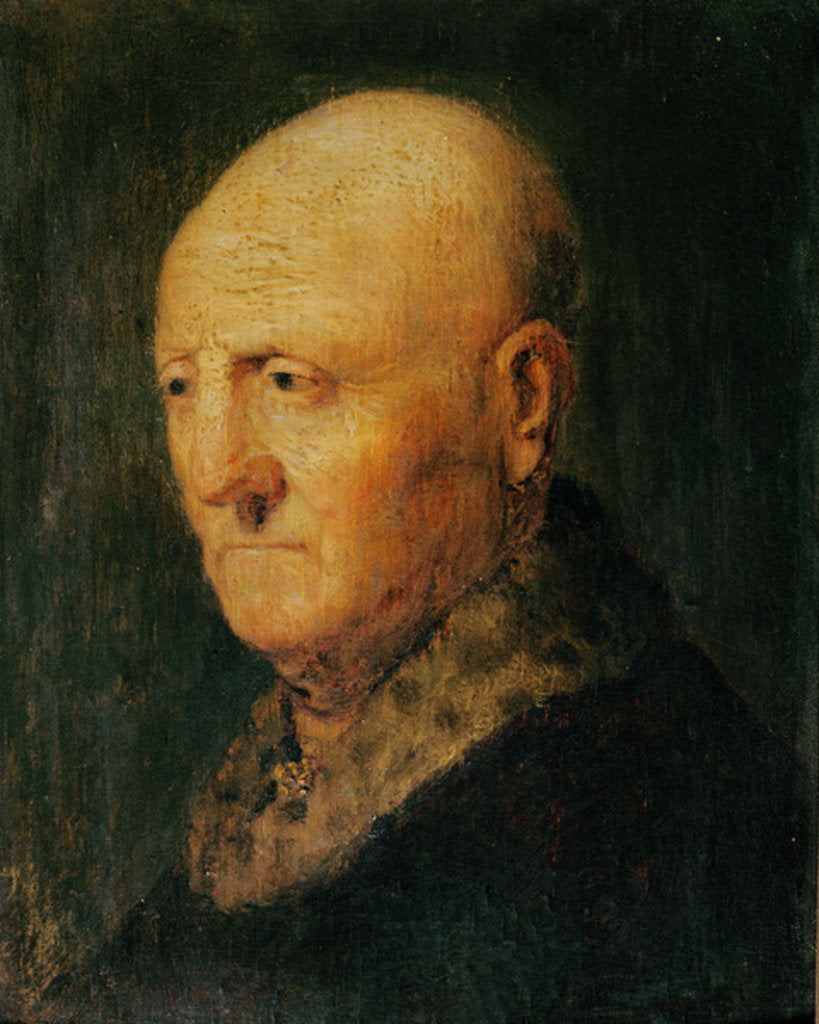 Detail of Portrait of an Old Man, known as Portrait of Hermann Gerritsz van Rijn, father of Rembrandt by Rembrandt Harmensz. van Rijn