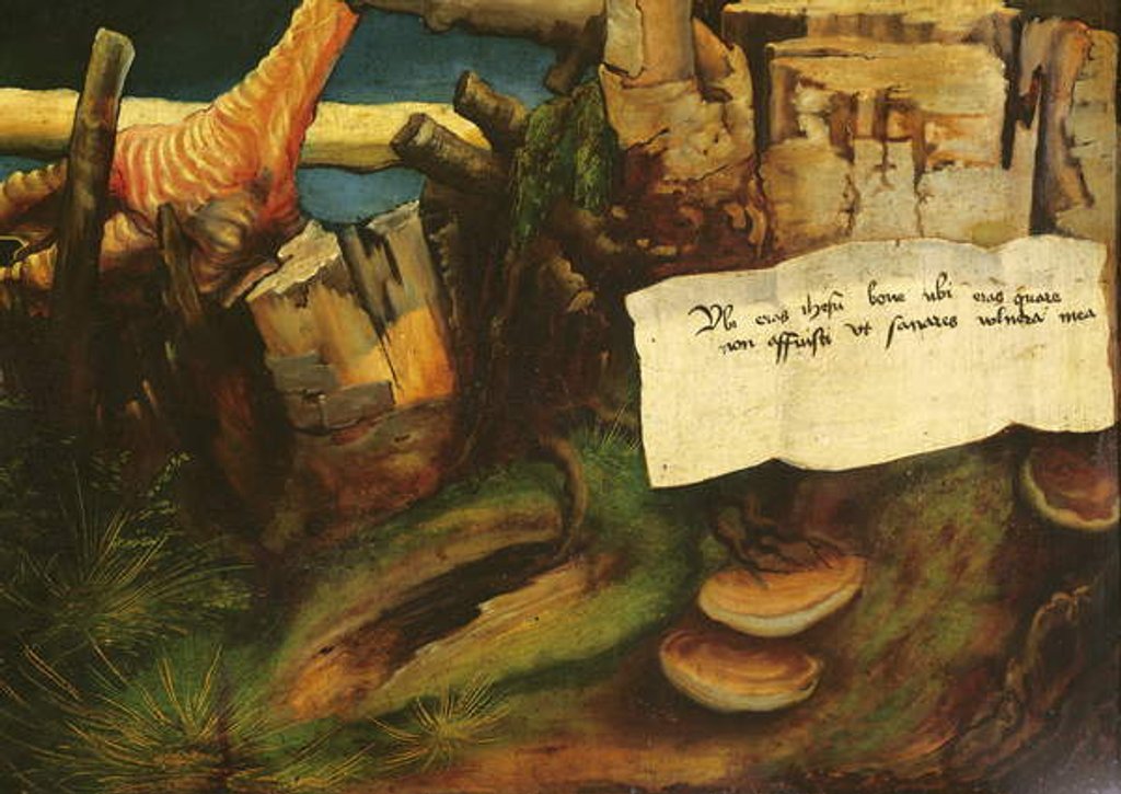 Detail of Detail of the temptation of Saint Anthony by Matthias Grunewald