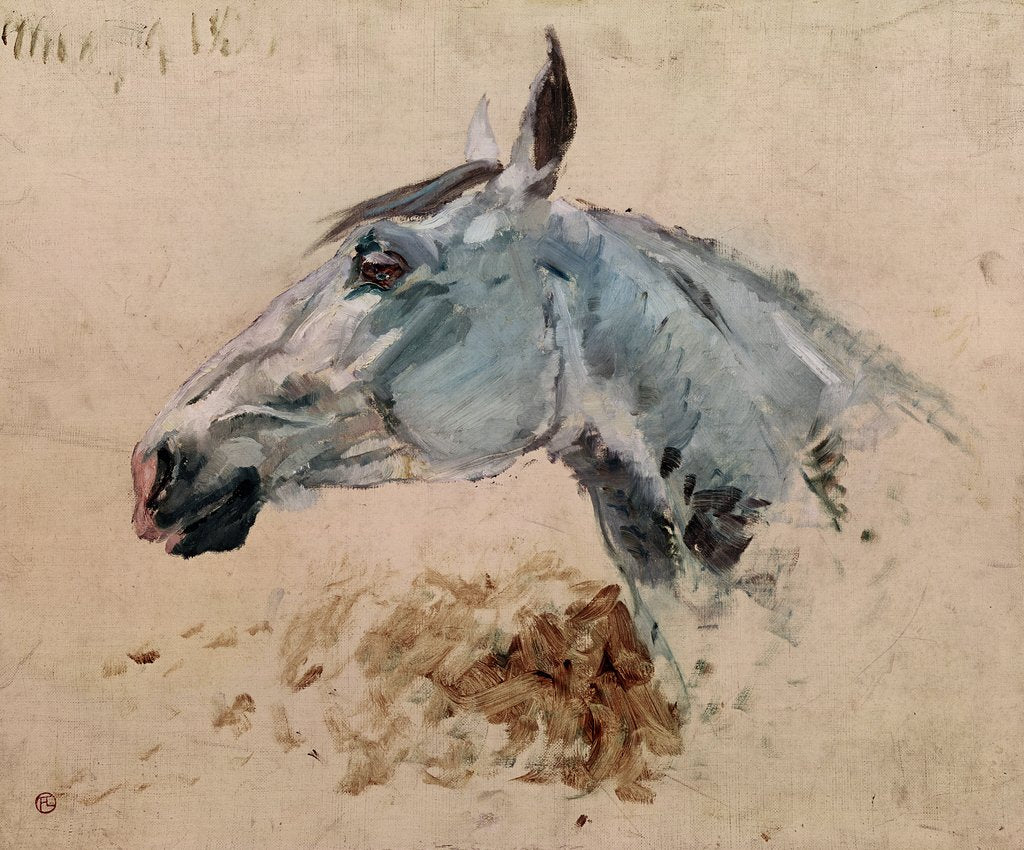 Detail of White Horse 'Gazelle', 1881 by Henri de Toulouse-Lautrec