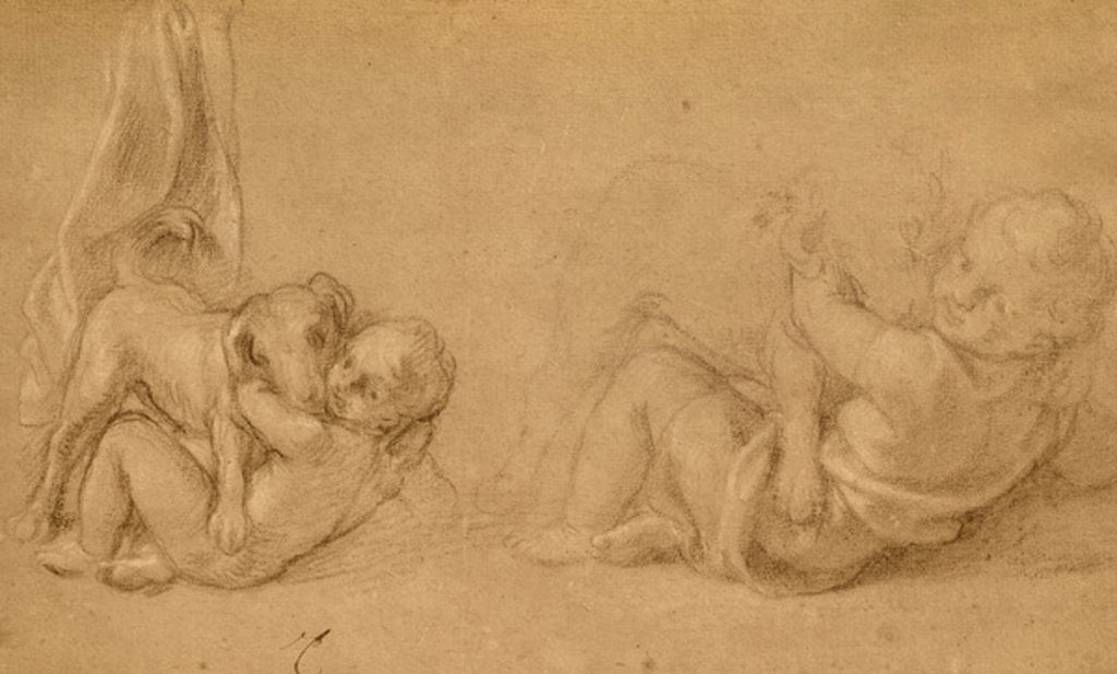 Detail of Study of a Child with a Dog by Charles Le Brun