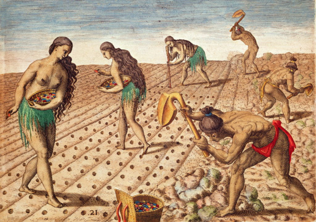 Detail of Brevis Narratio, Culture and Sowing Seeds, 1563 by Theodor de Bry