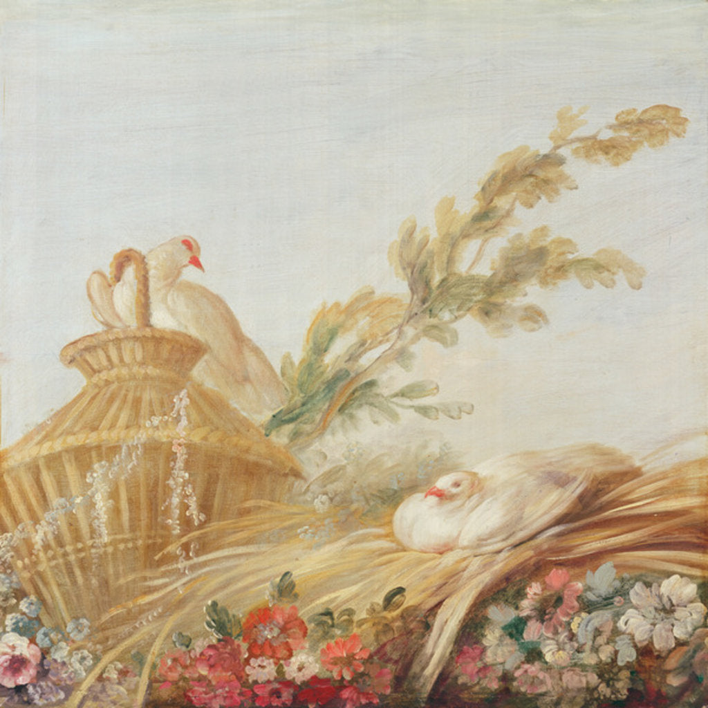 Detail of Salon of the Print-maker Gilles Demarteau, above the door; doves sitting their eggs in the hay, 1750-65 by Francois Boucher