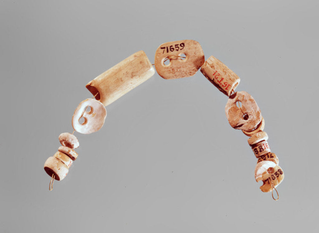 Detail of Necklace or bracelet, Seine-Oise-Marne Culture, 2800-2000 BC by Neolithic Neolithic