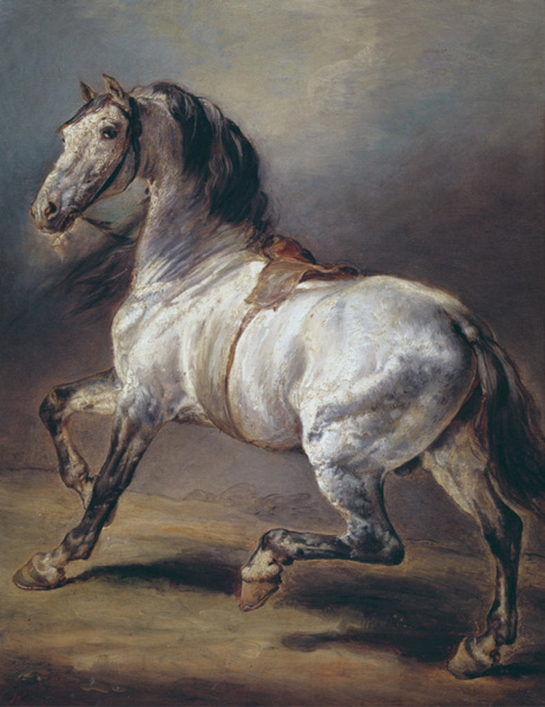 Detail of A Study of a Horse by Theodore Gericault