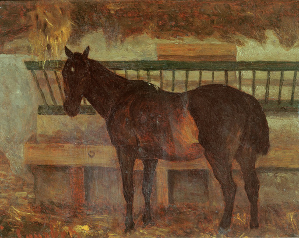 Detail of A Stud from the Town of Saintes, 1863 by Gustave Courbet