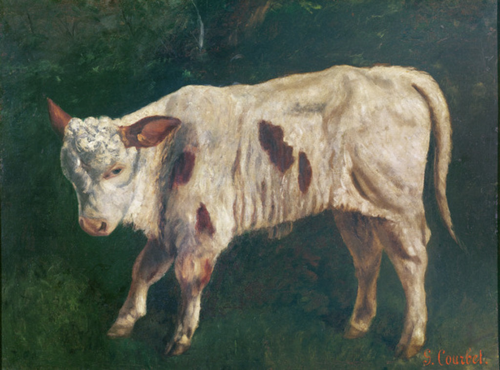 Detail of A Calf by Gustave Courbet