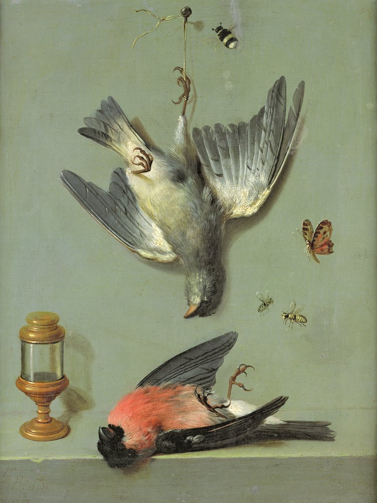 Detail of Still Life With Birds and Insects, 1713 by Jean-Baptiste Oudry