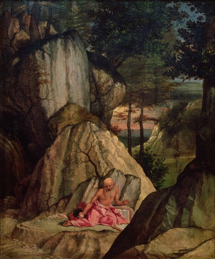 Detail of St. Jerome Meditating in the Desert, 1506 by Lorenzo Lotto