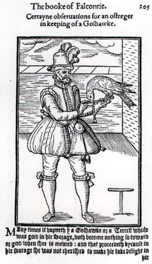 Detail of A Falconer with his Goshawk by English School