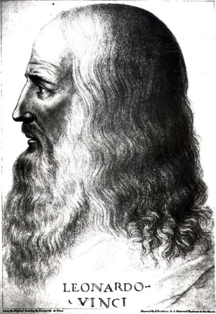 Detail of Portrait of Leonardo da Vinci by Italian School