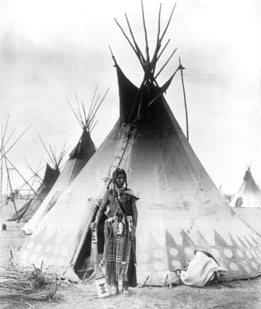 Detail of Blackfoot Brave, near Calgary, Alberta, 1889 by Anonymous