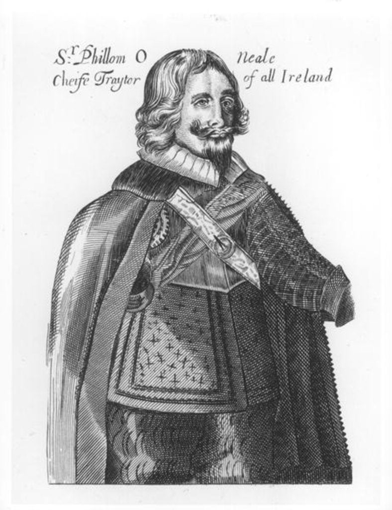 Detail of Portrait of Sir Phillom O'Neale by English School