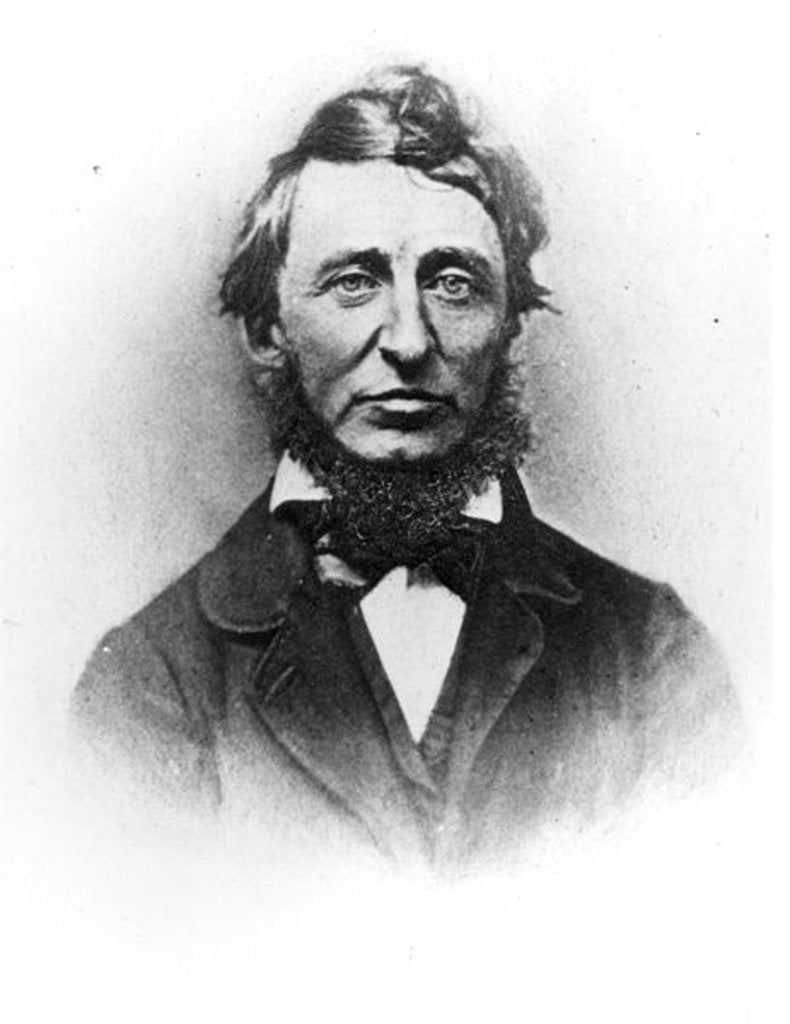 Detail of Henry Thoreau by American Photographer