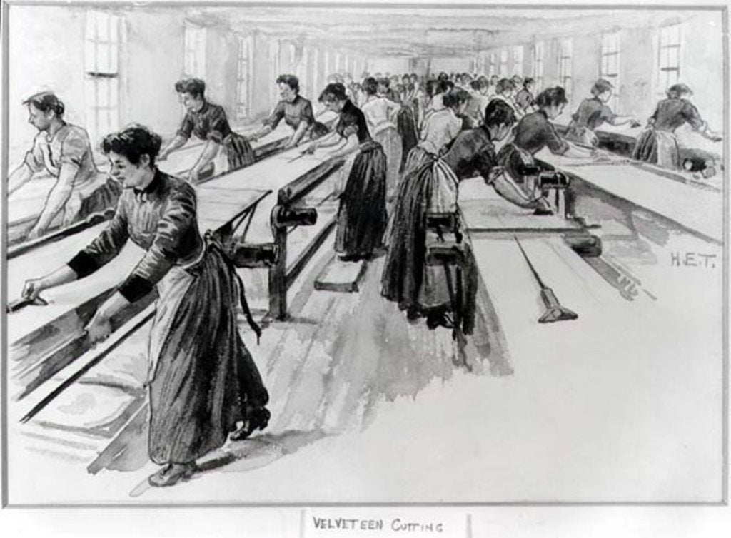 Detail of Velveteen Cutting by English School