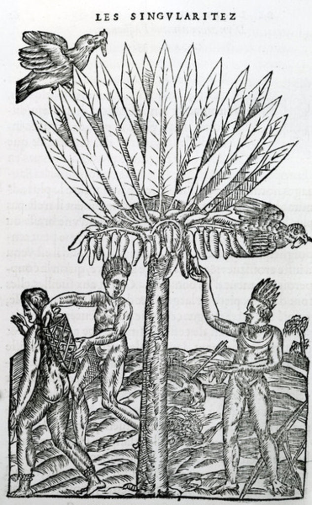 Detail of Harvest by French School