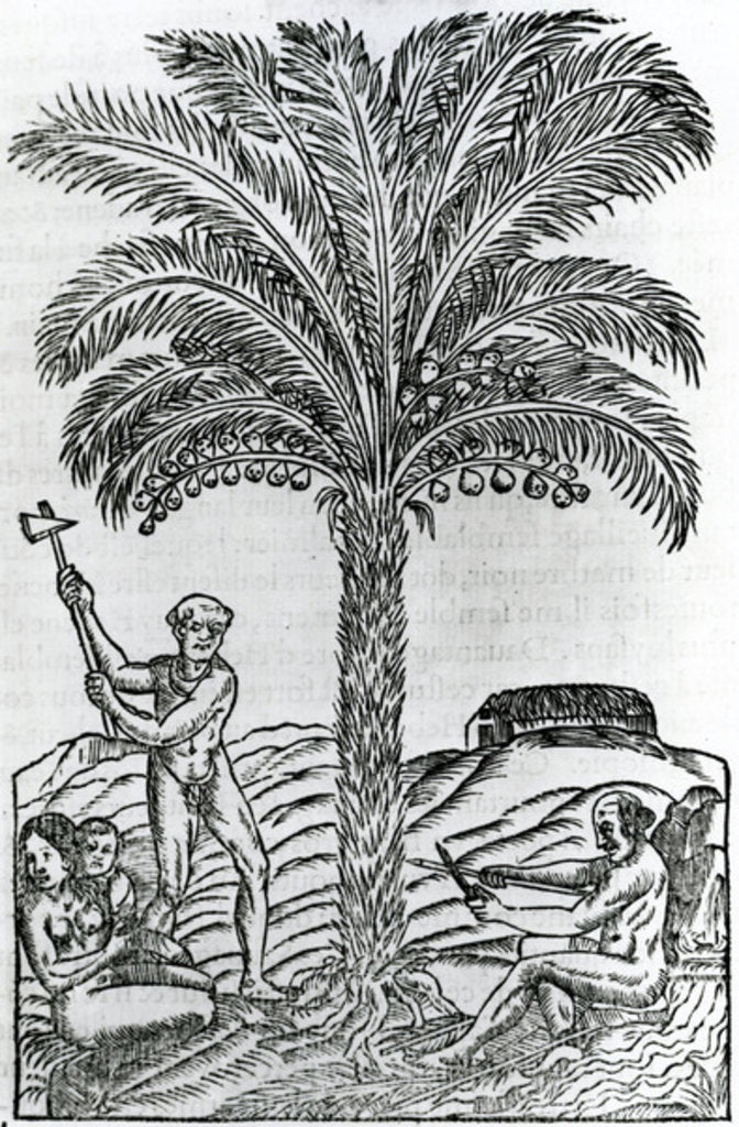 Detail of Harvest by French School