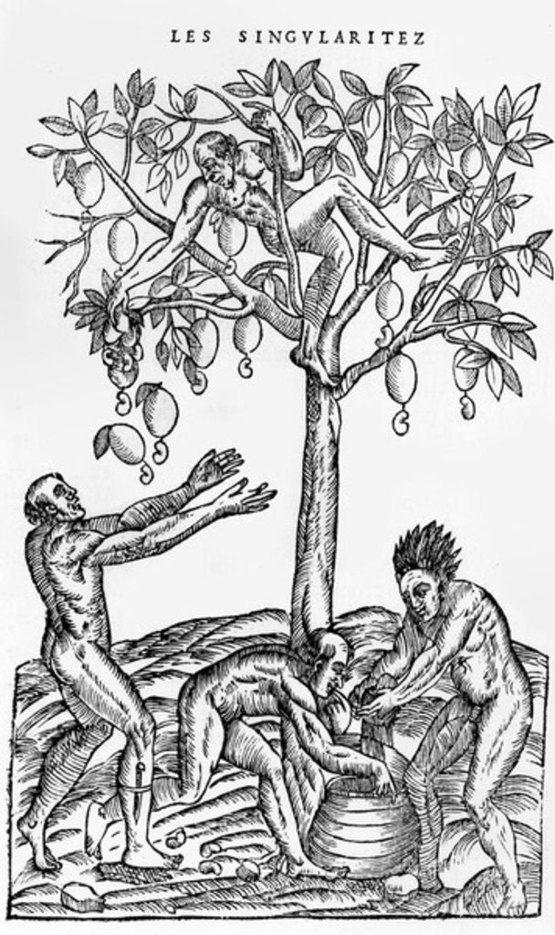 Detail of Collecting nuts for wine making by French School