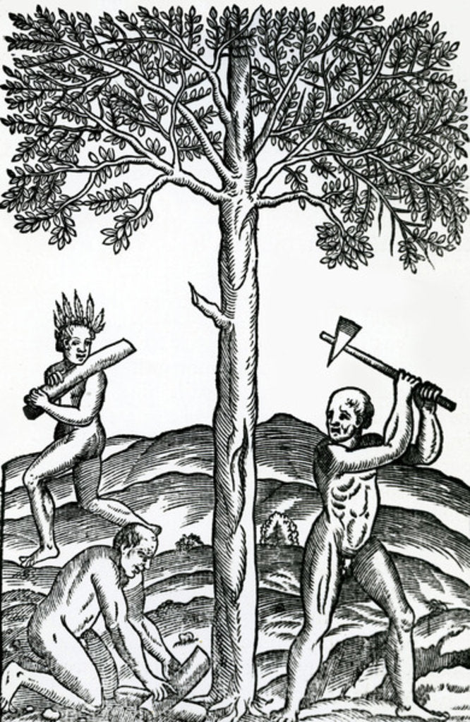 Detail of Tree cutting by French School