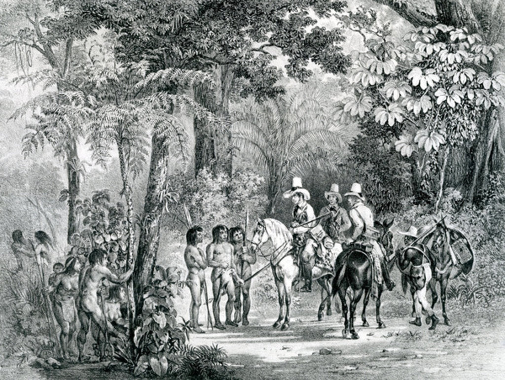 Detail of Meeting of the Indians with the European Explorers from 'Picturesque Voyage to Brazil', 1827-35 by Johann Moritz Rugendas