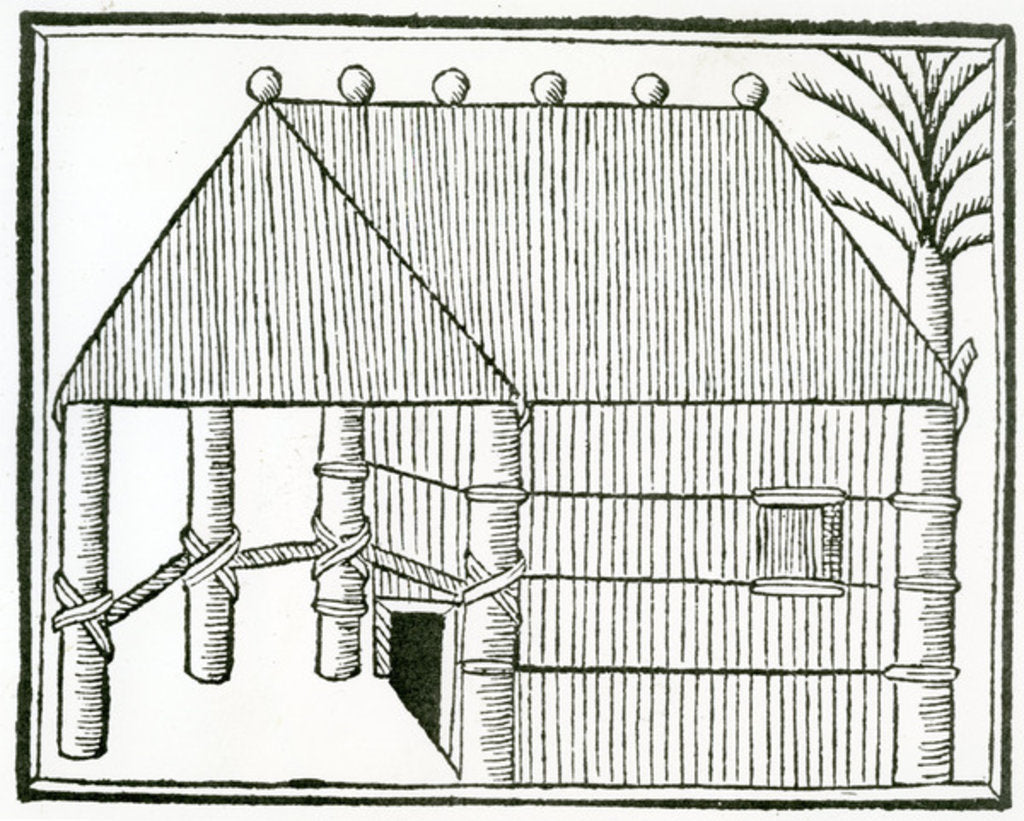 Detail of An Indian Habitation from 'la Historia general de las Indias' 1547 by Christopher Columbus