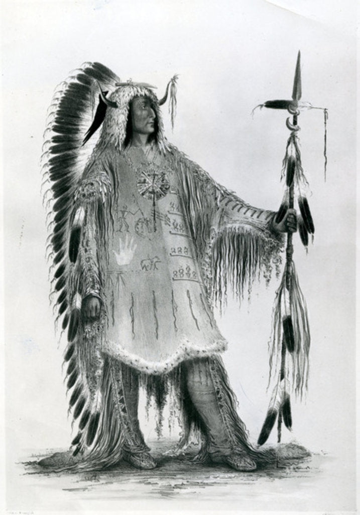 Detail of Mato-Tope, second chief of the Mandan people, c.1833 by George Catlin