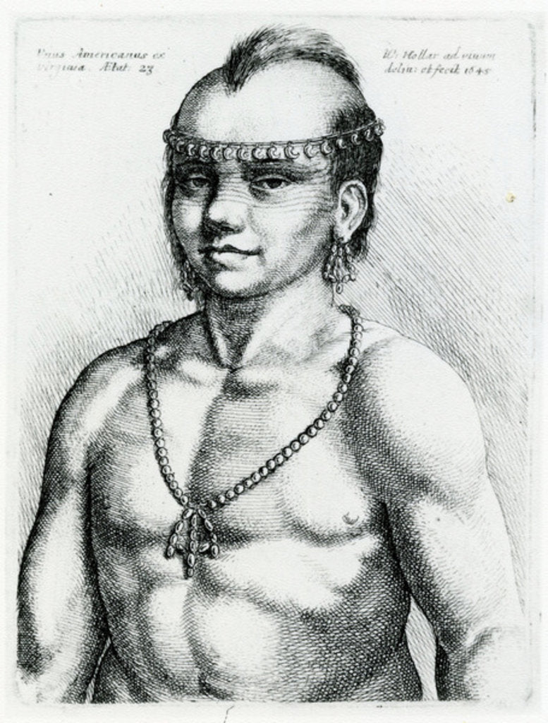 Detail of Virginian Indian, 1645 by Wenceslaus Hollar