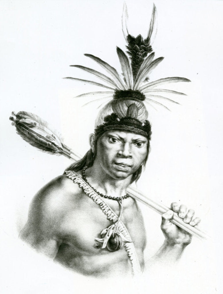 Detail of Chief Camacan Mongoyo from 'A Pitoresque and Historical Trip to Brazil' by Jean Baptist Debret, 1834 by Charles Etienne Pierre Motte