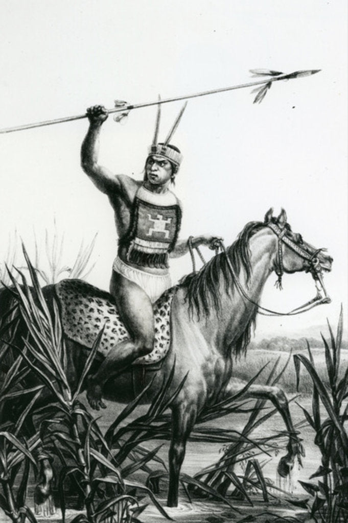 Detail of Chief of the Charruas from 'Pitoresque and Historical trip to Brazil' by Jean Baptiste Debret, 1834 by Charles Etienne Pierre Motte