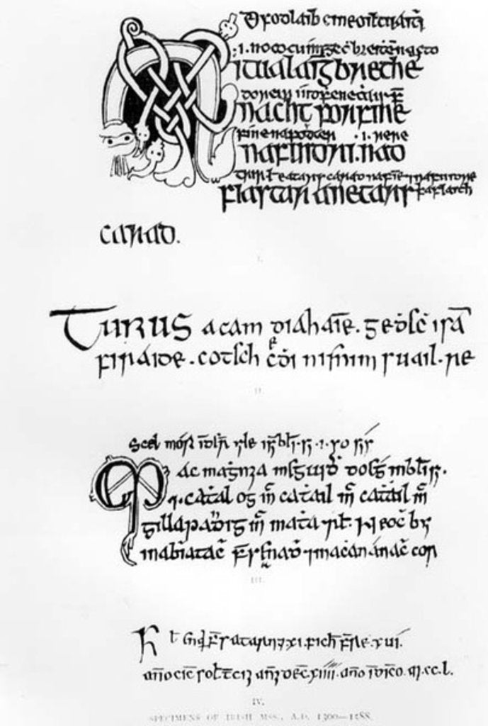 Detail of Specimens of Irish Manuscripts, c.1300-1588 by English School